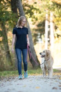Leinenführigkeit in der Hundeschule