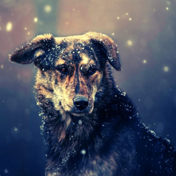 Winter-Training