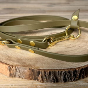 Leine aus Biothane in Olive mit Messing Beschlägen
